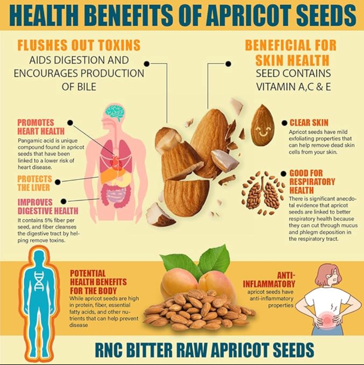 Apricot Seeds