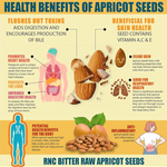 Apricot Seeds