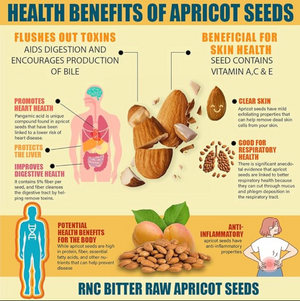 Apricot Seeds